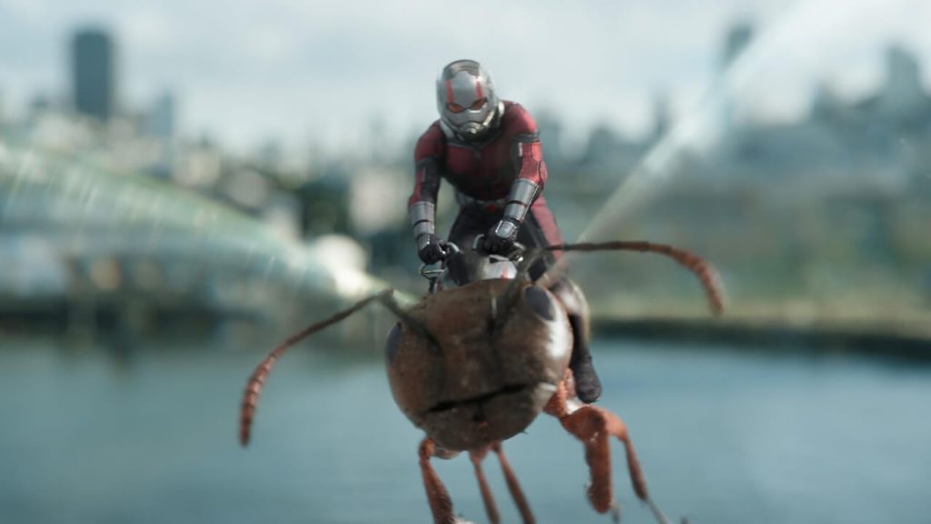 ant-man and the wasp marvel disney